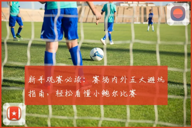 新手观赛必读：赛场内外五大避坑指南，轻松看懂小鲍尔比赛