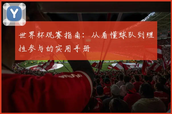 世界杯观赛指南:从看懂球队到理性参与的实用手册