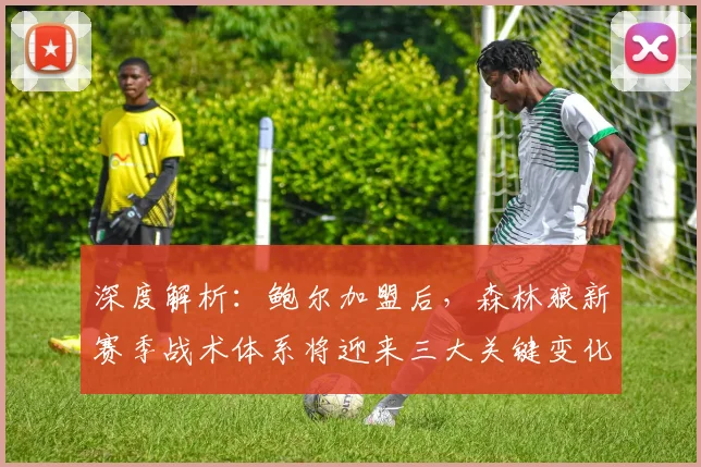 深度解析：鲍尔加盟后，森林狼新赛季战术体系将迎来三大关键变化