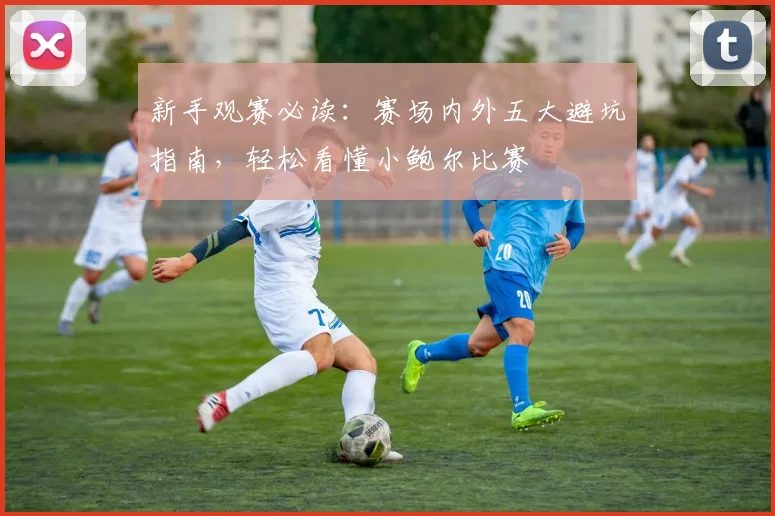 新手观赛必读:赛场内外五大避坑指南,轻松看懂小鲍尔比赛