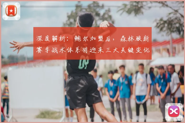 深度解析:鲍尔加盟后,森林狼新赛季战术体系将迎来三大关键变化